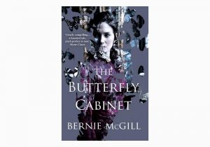 New Cover for Butterfly Cabinet